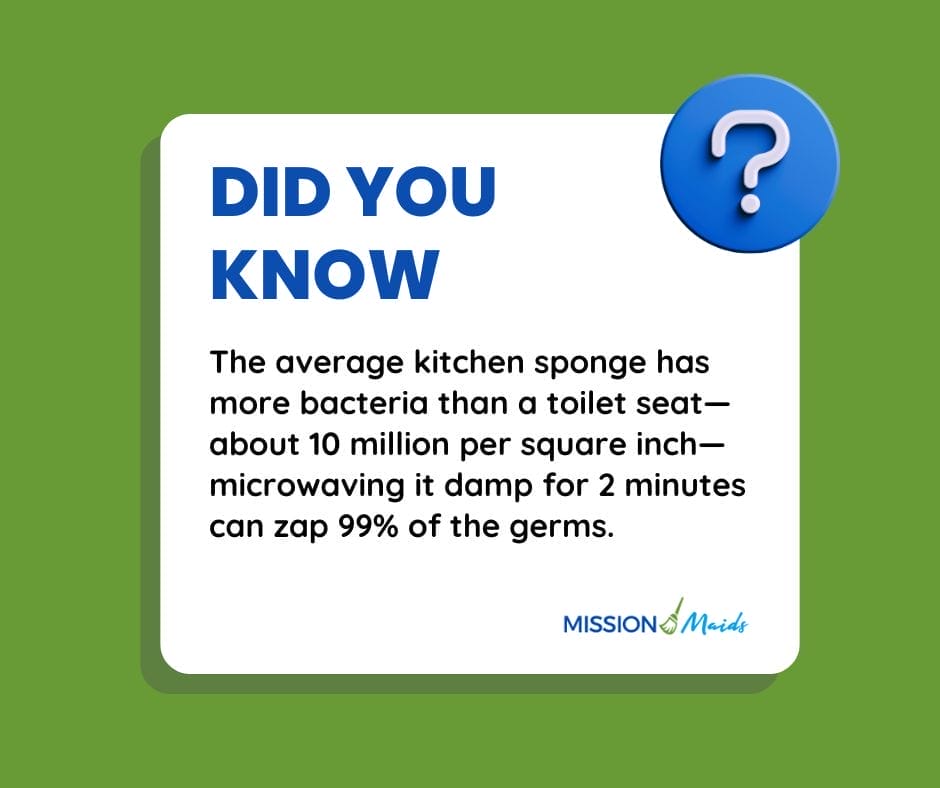 Clean kitchen fact